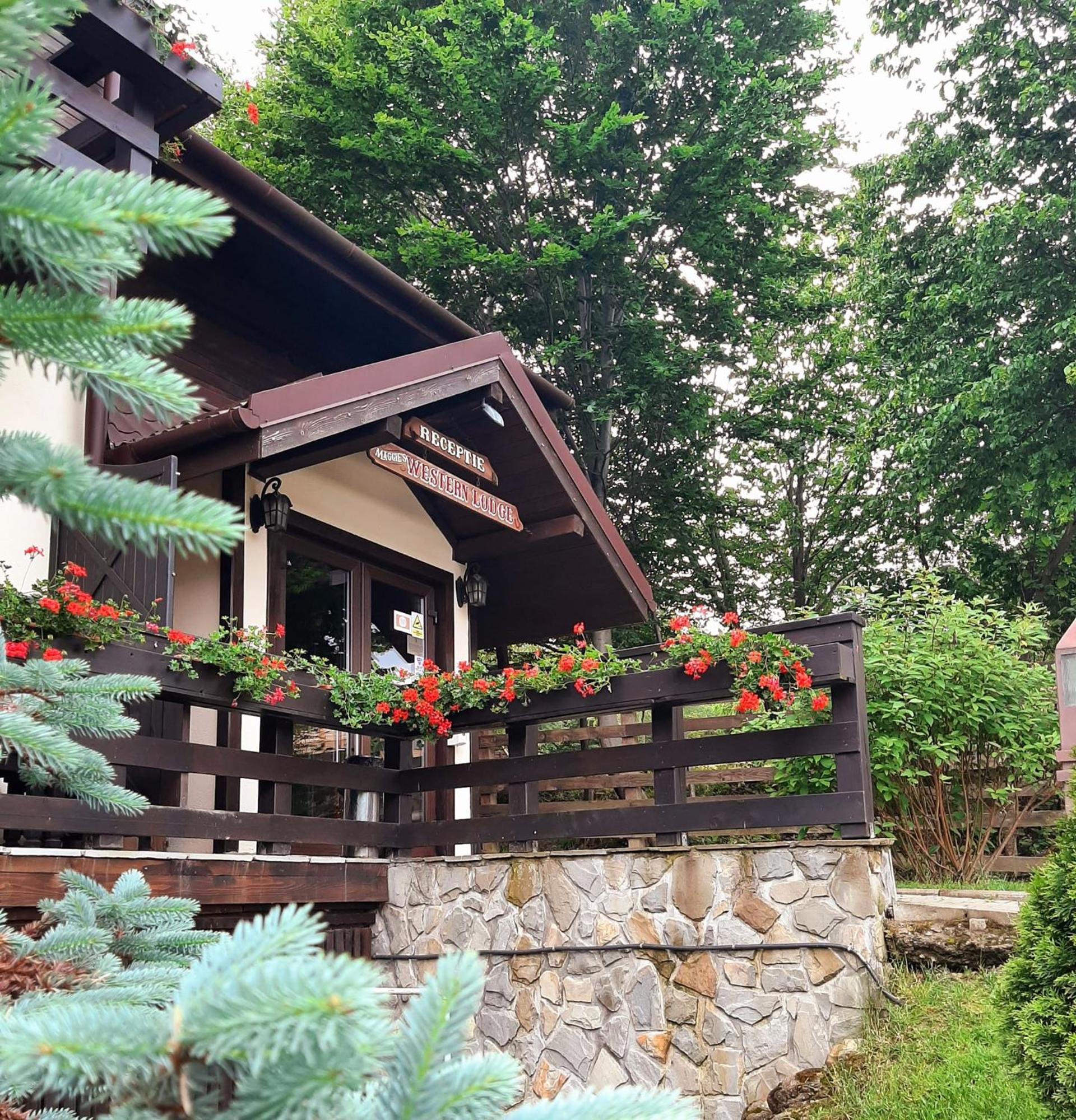 Hotel Maggie'S Ranch Rîşnov Exteriér fotografie