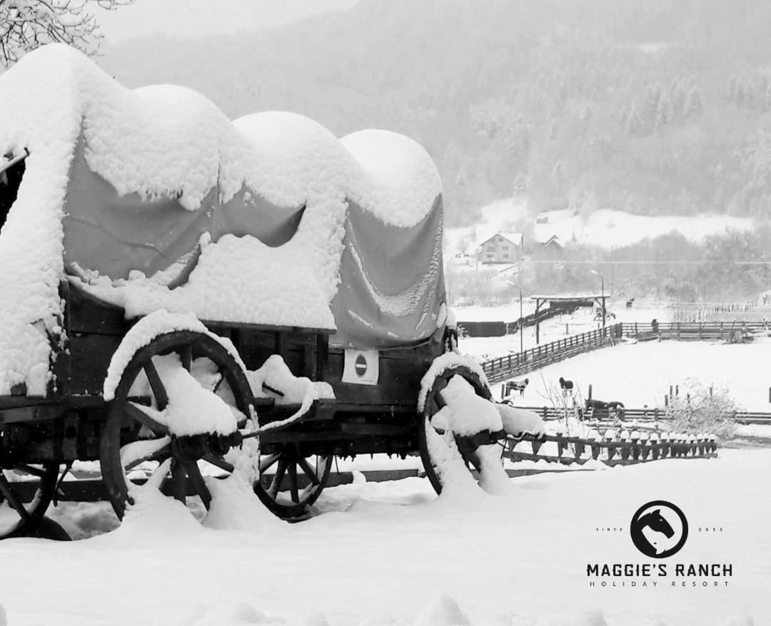 Hotel Maggie'S Ranch Rîşnov Exteriér fotografie